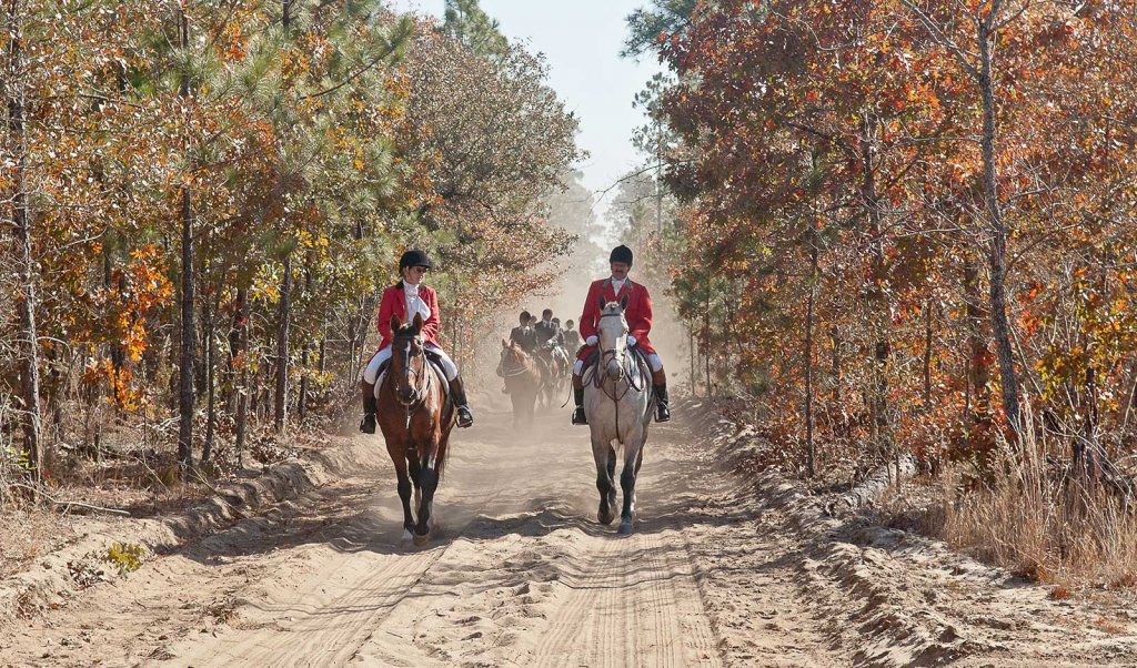 Fox hunt in Aiken County, South Carolina