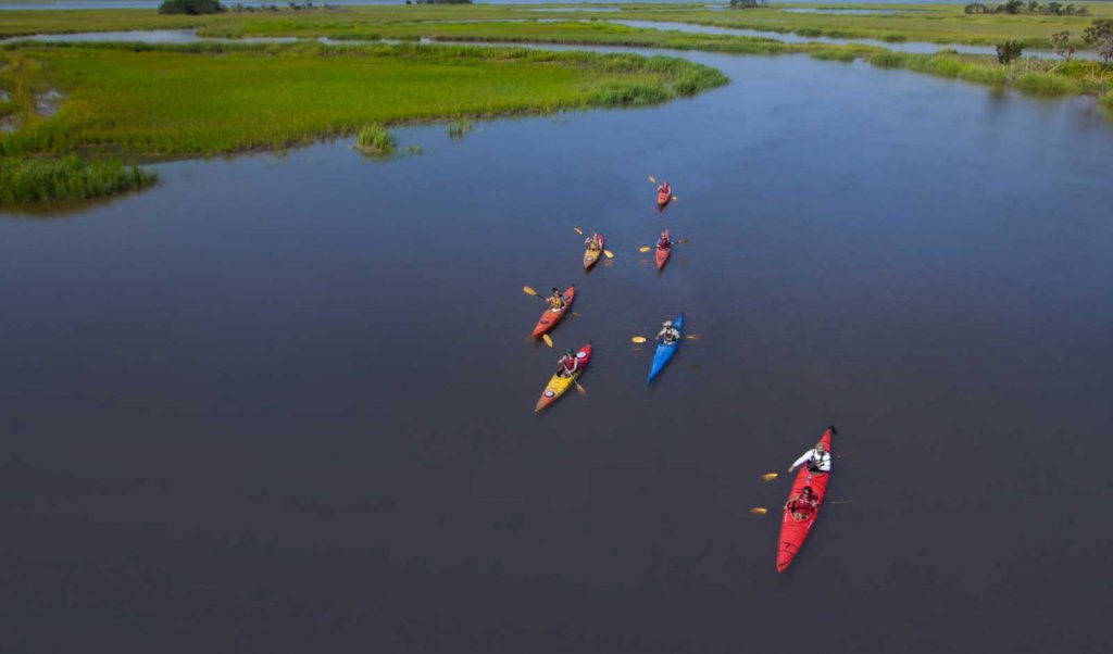 How to Witness Coastal Georgia's Natural Wildlife