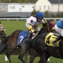 Three jockeys ride horses in the Kentucky Derby