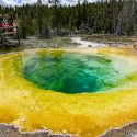 People look at a bright yellow and green sulfur pool in Yellowstone National Park