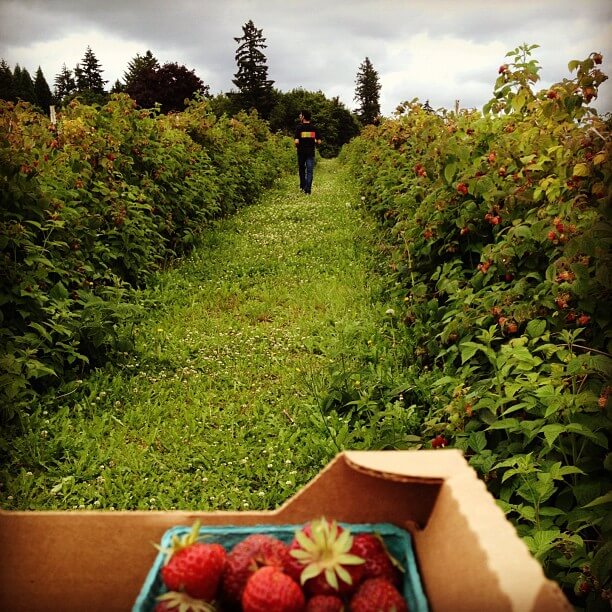 Surrounded by Treasures in Portland, Oregon