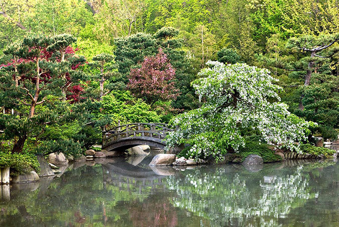 Reflection pond at the Anderson Japanese Gardens in Rockford, IL.