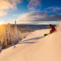 Person skiing down snowy mountain in golden sunlight