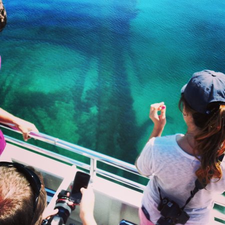 Visitors view a shipwreck on a glass-bottom boat tour in Alpena, Michigan.