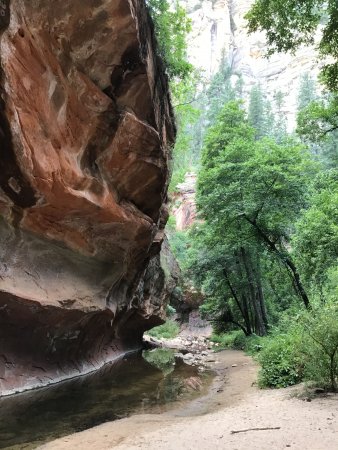 A Summer Escape to Sedona