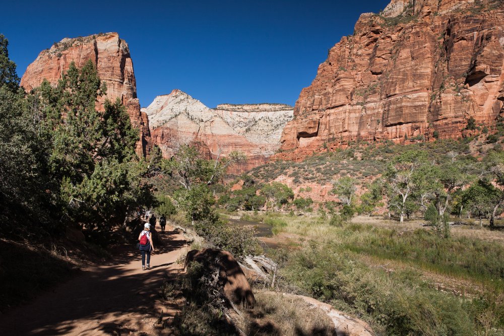 Hikers walking a trail in Zion National Park in Utah