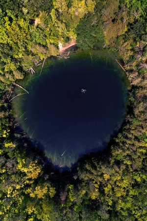 Sinkholes and Shipwrecks