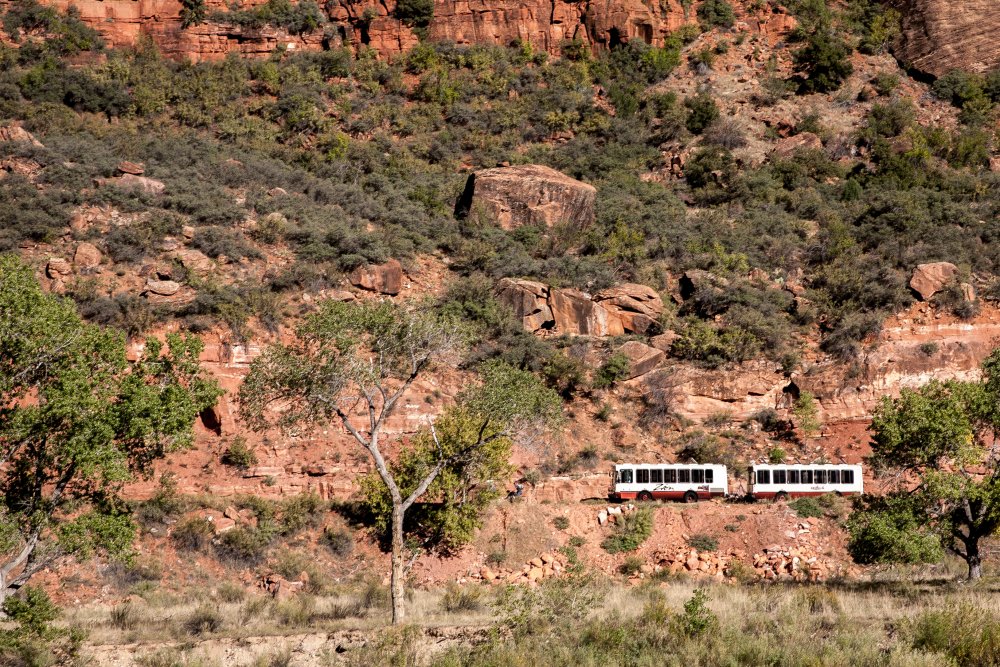 Shuttle busses in Zion National Park