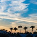 The sun sets behind beautiful silhouettes of palm trees in California