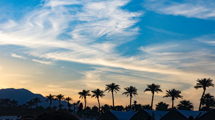 The sun sets behind beautiful silhouettes of palm trees in California