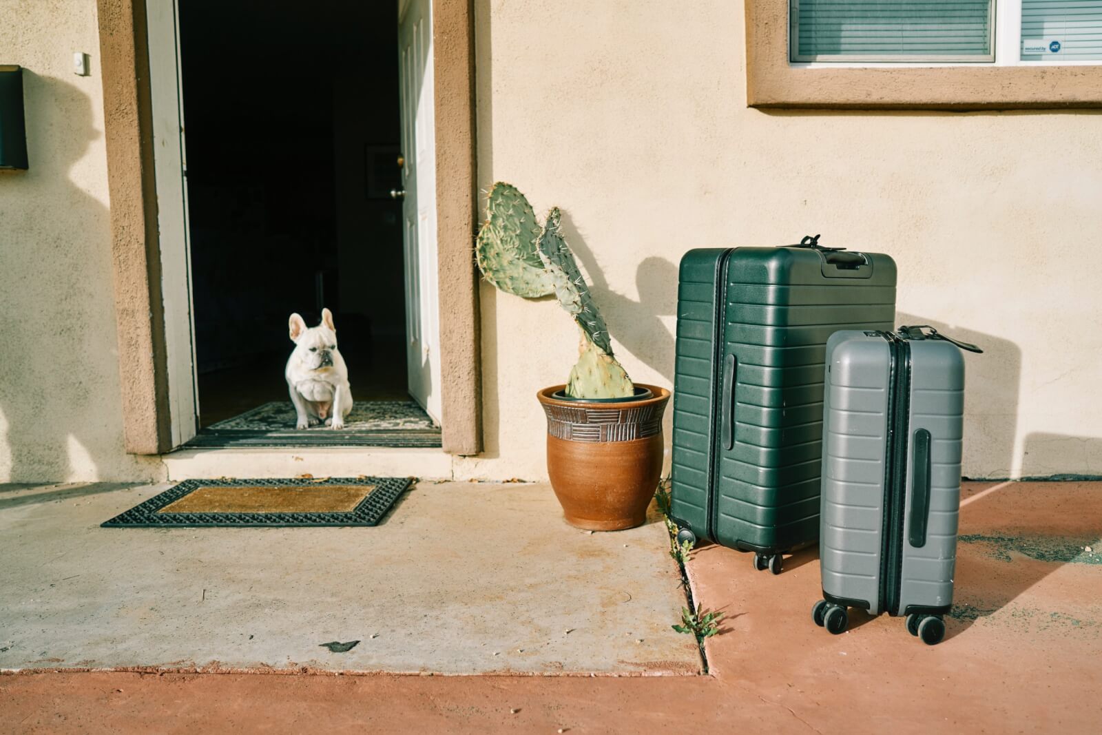 A French bulldog sits in the doorway, curiously looking at a set of luggage.