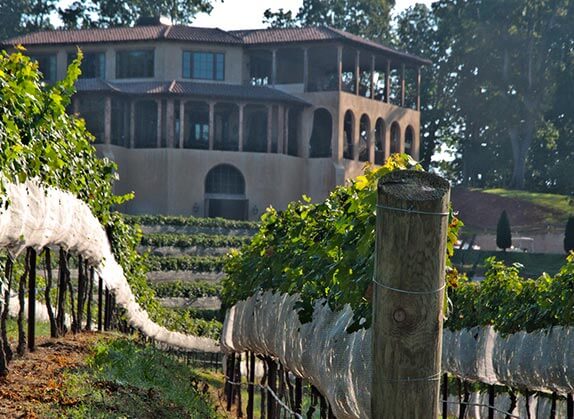 Dahlonega, Georgia, vineyard and winery