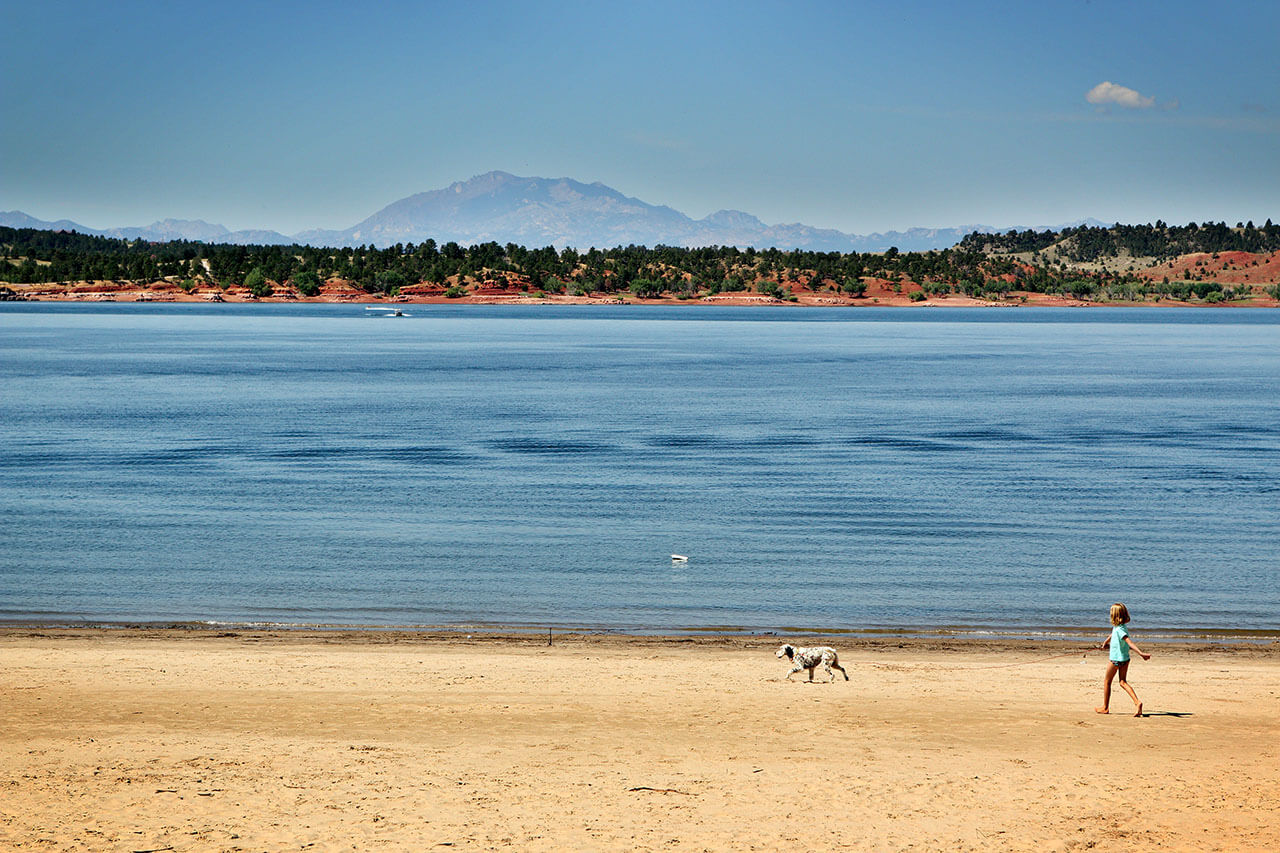 A young girl walks her dog on the beach