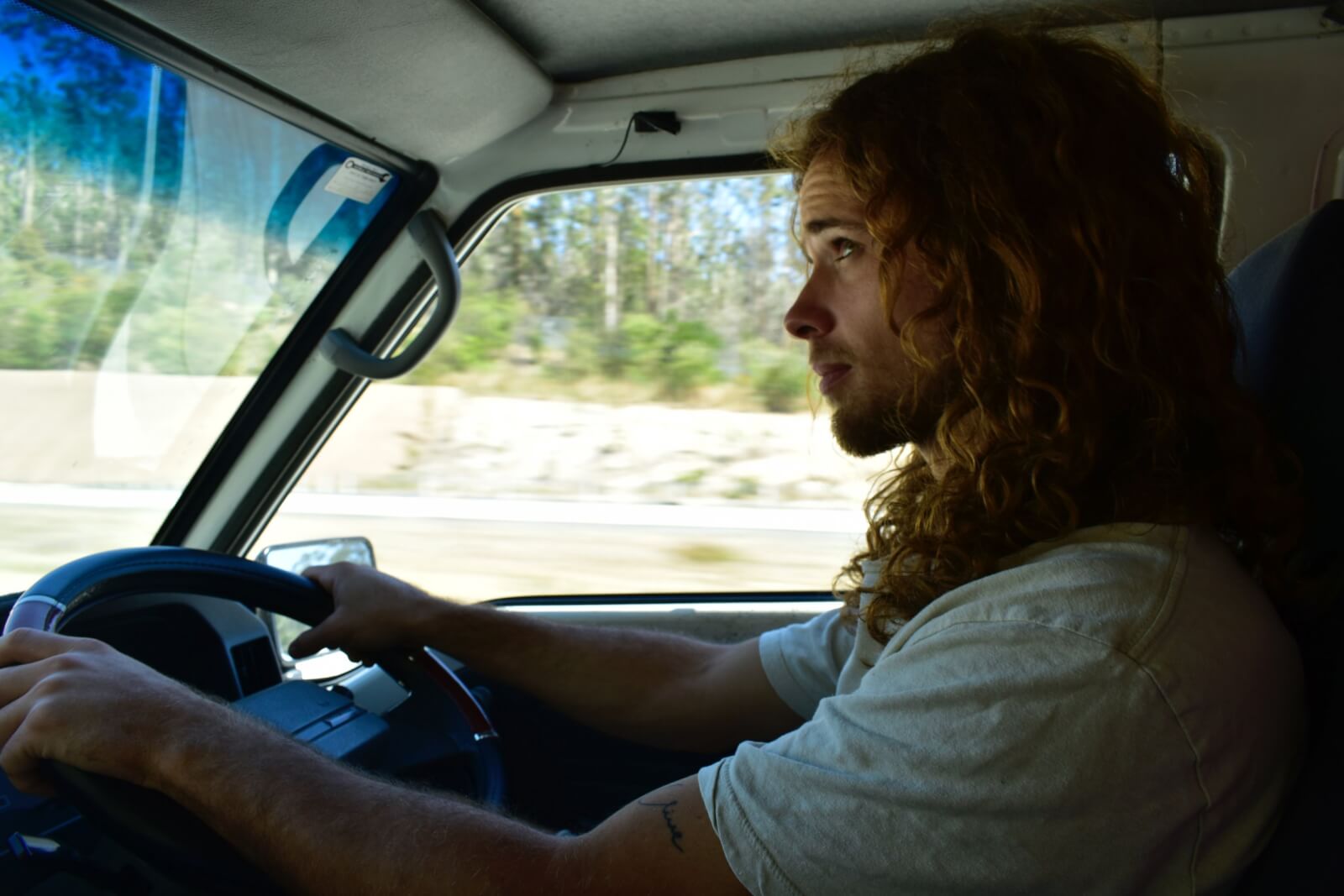 A curious man drives through the forest, into Yosemite