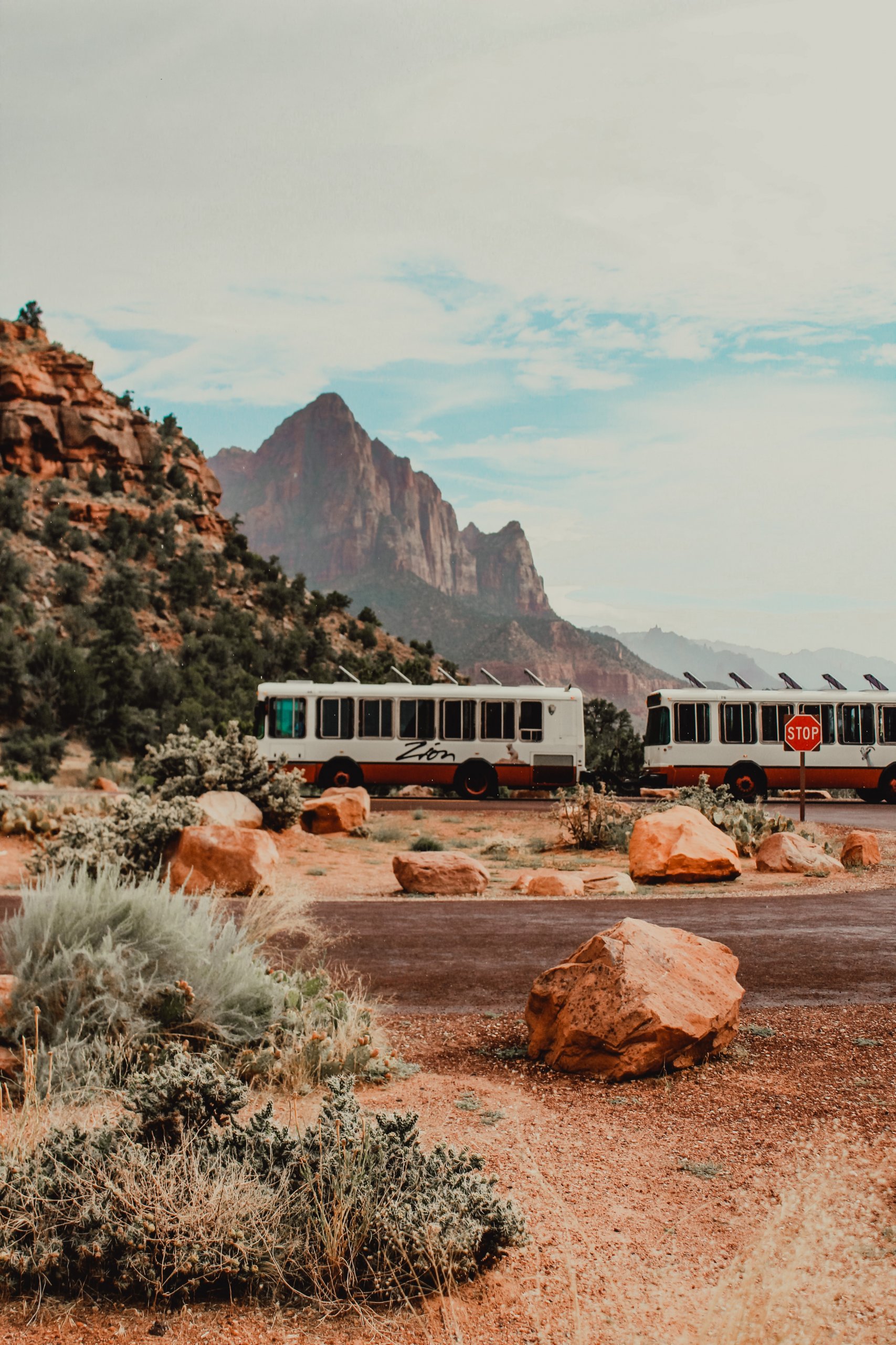 Shuttles driving at Zion National Park