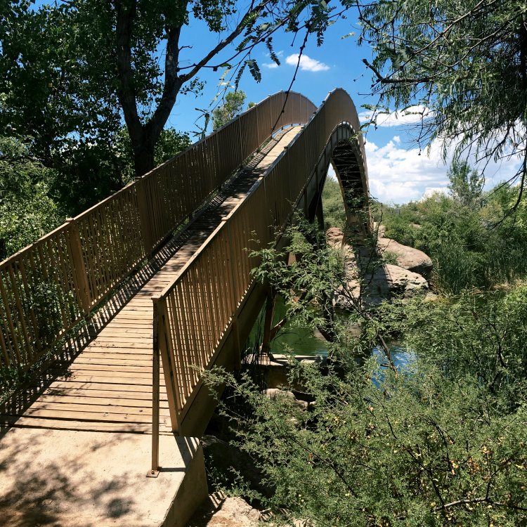 Arched bridge shrouded in vegetation, suspended over Patagonia Lake.