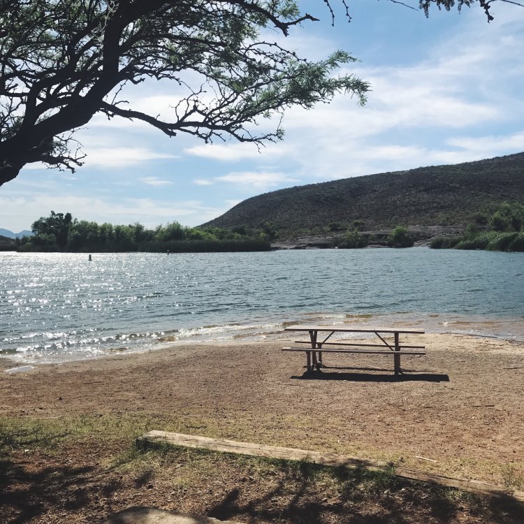 A beach area with a single picnic table overlooks placid waters and distant bluffs in Patagonia Lake. 